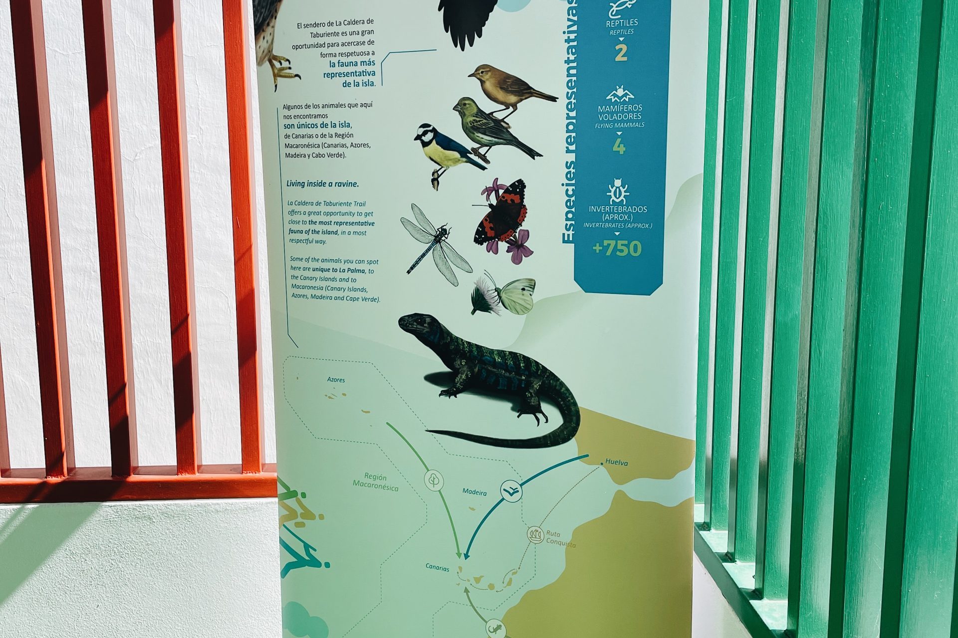 Processed with VSCO with a6 preset