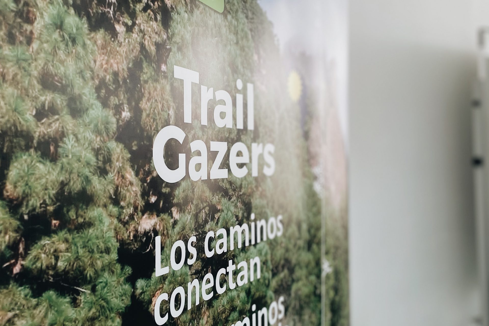 Processed with VSCO with a6 preset