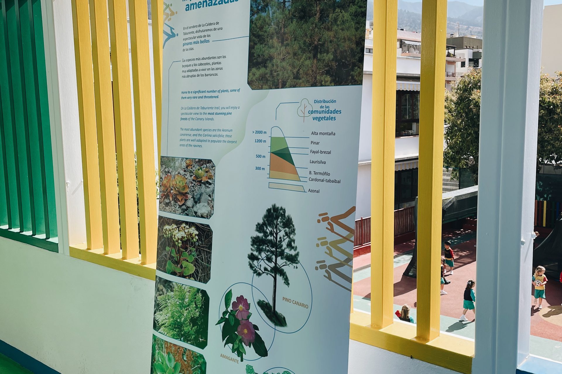 Processed with VSCO with a6 preset